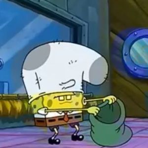 Meet your Posher, Casey